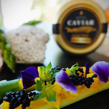 Bester Caviar - a celery with blackberries and oranges - Food Delivery Services Near Me - Miami, Florida Bester Caviar - a celery with blackberries and oranges - Food Delivery Services Near Me - Miami, Florida