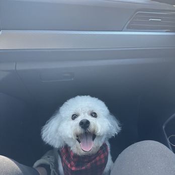 Bobby’s Pet Grooming - Cooper Todd - Pet Groomers Near Me - Poway, California