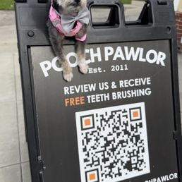 Heriess at Pooch Pawlor