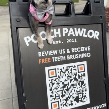 Pooch Pawlor Spa - Heriess at Pooch Pawlor - Pet Groomers Near Me - Glendale, California