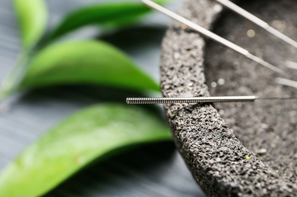 Vedicina Acupuncture & Wellness Logo