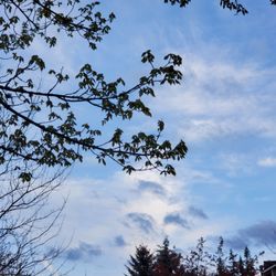 Brickyard Road Park - Pretty clouds at this park tonight.