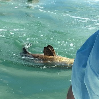 Big Bully Outdoors - Fishing Near Me - Boca Grande, Florida