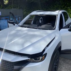 Velocity Auto Glass