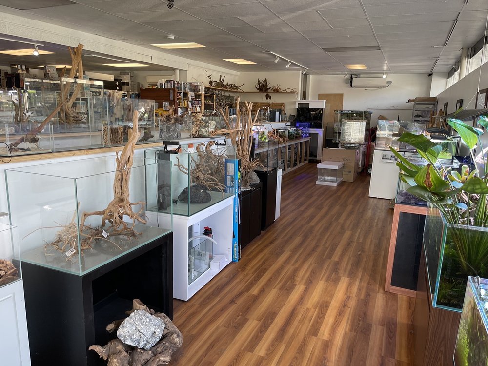 AQUA LAB AQUARIA Updated August 2024 91 Photos & 141 Reviews 955