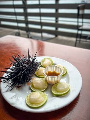Santa Barbara Shellfish Company by null