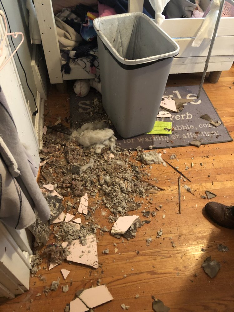 Slide of A1 Redi Rooter