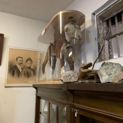 Fort Jones Museum - 2 headed calf