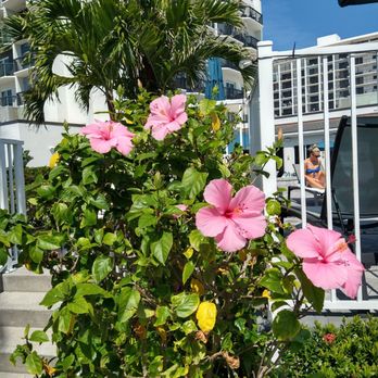 Hilton Garden Inn - Cocoa Beach - Hotels Near Me - Cocoa Beach, Florida