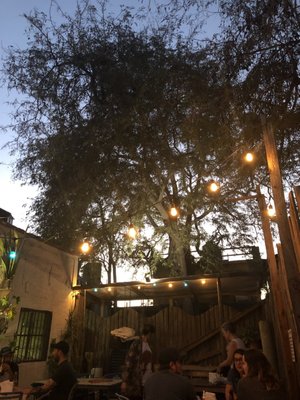 Mezcaleria La Miserable by null