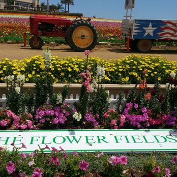 The Flower Fields - Venues & Event Spaces Near Me - Carlsbad, California