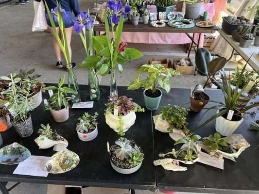 Virginia Beach Farmers Market by null