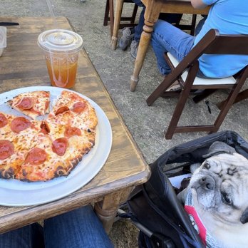 Wilshire's Apple Shed - Our pug sat in his stroller in the outdoor seating area. - Coffee & Tea Near Me - Yucaipa, California Wilshire's Apple Shed - Our pug sat in his stroller in the outdoor seating area. - Coffee & Tea Near Me - Yucaipa, California