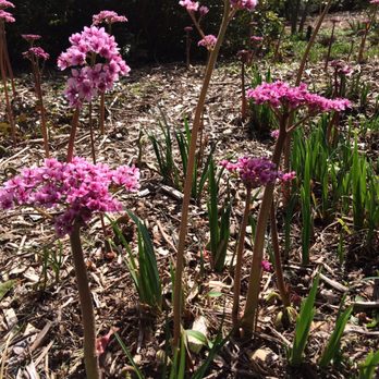 Washington Park Arboretum - Parks Near Me - Seattle, Washington Washington Park Arboretum - Parks Near Me - Seattle, Washington