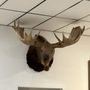 Photo of Wheaton Moose Lodge