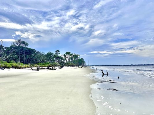 Driftwood Beach by null