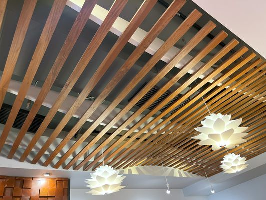 Dragonfly Noodle by null