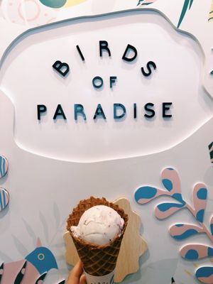 Birds of Paradise Gelato Boutique – Katong (East Coast) by null