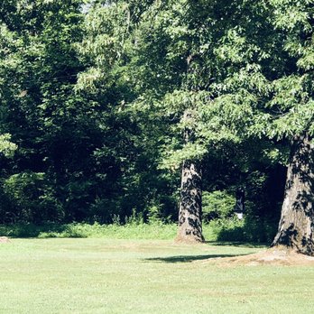 Dupont Park - Beautiful woods - Parks Near Me - Chattanooga, Tennessee Dupont Park - Beautiful woods - Parks Near Me - Chattanooga, Tennessee