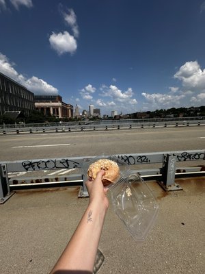 PVDonuts by null