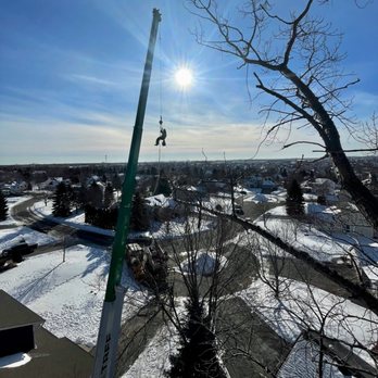Bratt Tree - Tree Services Near Me - Minneapolis, Minnesota Bratt Tree - Tree Services Near Me - Minneapolis, Minnesota