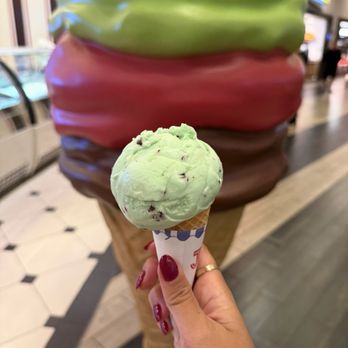 Scoops - Mint Chocolate kids school on a sugar cone - Ice Cream & Frozen Yogurt Near Me - Rohnert Park, California Scoops - Mint Chocolate kids school on a sugar cone - Ice Cream & Frozen Yogurt Near Me - Rohnert Park, California