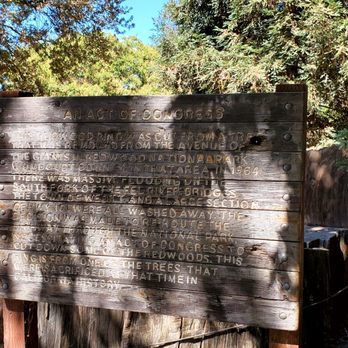 Hughson Arboretum & Gardens - The sign that tells guests all about the part of the tree that was transported to the park. - Botanical Gardens Near Me - Hughson, California Hughson Arboretum & Gardens - The sign that tells guests all about the part of the tree that was transported to the park. - Botanical Gardens Near Me - Hughson, California