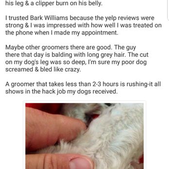 Bark Williams - Pet Stores Near Me - Santa Monica, California