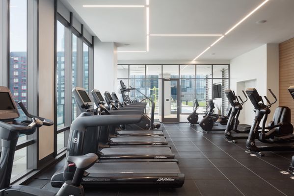 Vantage Collection by null