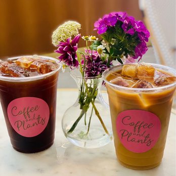Coffee and Plants - Cold Brew Coffee - Coffee & Tea Near Me - Pasadena, California Coffee and Plants - Cold Brew Coffee - Coffee & Tea Near Me - Pasadena, California