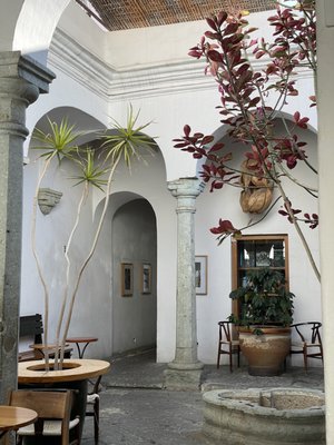 Café Brújula Alcalá | Café de Especialidad de Oaxaca, México by null