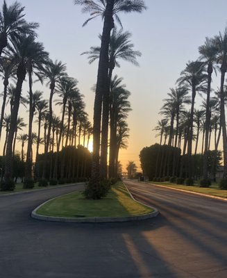 The Citrus Club at PGA WEST by null
