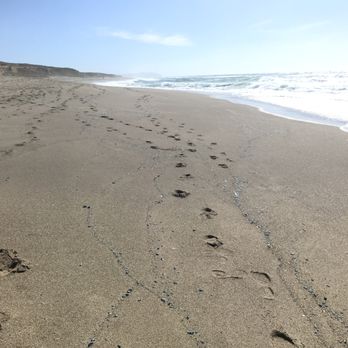 Point Reyes Beach North - view towards the south. felt like i could've walked the whole way if i had the time. - Beaches Near Me - Inverness, California Point Reyes Beach North - view towards the south. felt like i could've walked the whole way if i had the time. - Beaches Near Me - Inverness, California