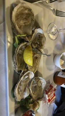 The Oyster Bar by null