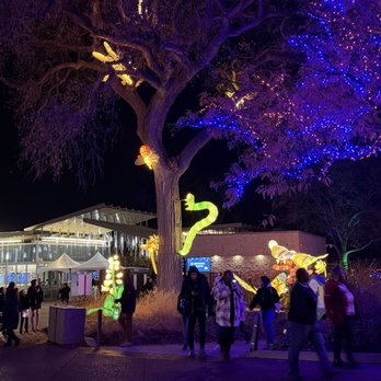 Lincoln Park Zoo - Zoo lights - Zoos Near Me - Chicago, Illinois Lincoln Park Zoo - Zoo lights - Zoos Near Me - Chicago, Illinois