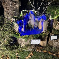 Overland Park Arboretum & Botanical Gardens - A magical gnome house.