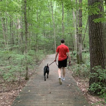 Hemlock Bluffs Nature Preserve - Dog friendly - Hiking Near Me - Cary, North Carolina Hemlock Bluffs Nature Preserve - Dog friendly - Hiking Near Me - Cary, North Carolina