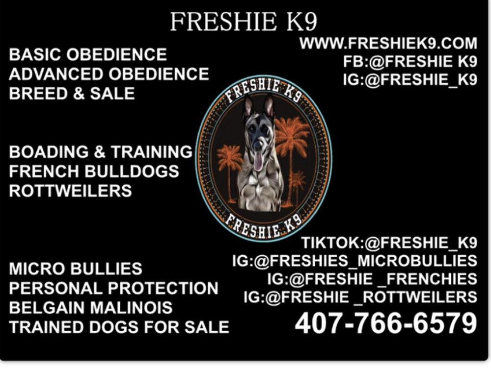 FRESHIE K9 Orlando, Florida Pet Training Phone Number Yelp