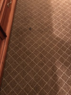 Holiday Inn Express & Suites Park City by IHG by null