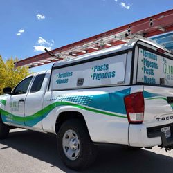 El Valle Pest Control - el valle pest control