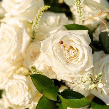 Avery Willow Designs - Floral Designers Near Me