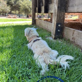 Libbey Park - Parks Near Me - Ojai, California