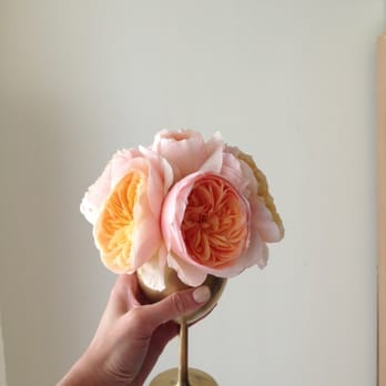 Bended Knee Floral Designs - Juliet roses - Florists Near Me - Montebello, California Bended Knee Floral Designs - Juliet roses - Florists Near Me - Montebello, California