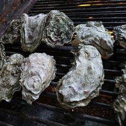 Willamette Valley Smokehouse - BBQ Oysters