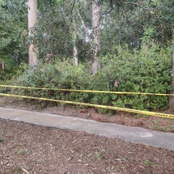 Town of Summerville, SC - Just a random crime scene tape at the park...