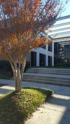 Westhampton Family Psychologists