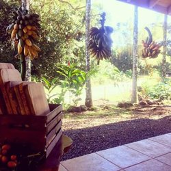 Sustainably harvested mango cutting boards available