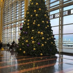 Tree outside vino