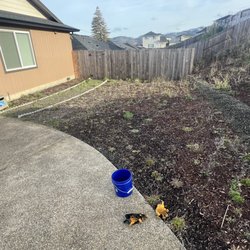 Veterans on the Mow - Before picture of clean up