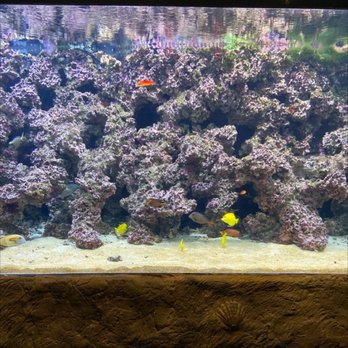 Mokupapapa Discovery Center - Aquariums Near Me - Hilo, Hawaii